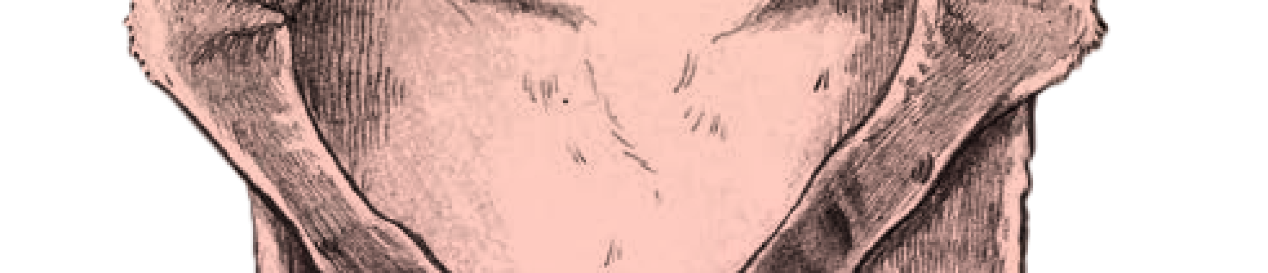 ANIMALARIO-EN-EXTINCIÓN-VISTA-wev